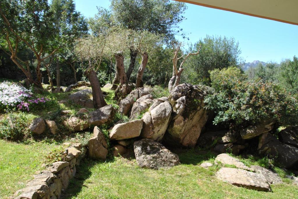 Sa Jaga Brujada Residence - Simar Vacanze Porto Rotondo Ngoại thất bức ảnh